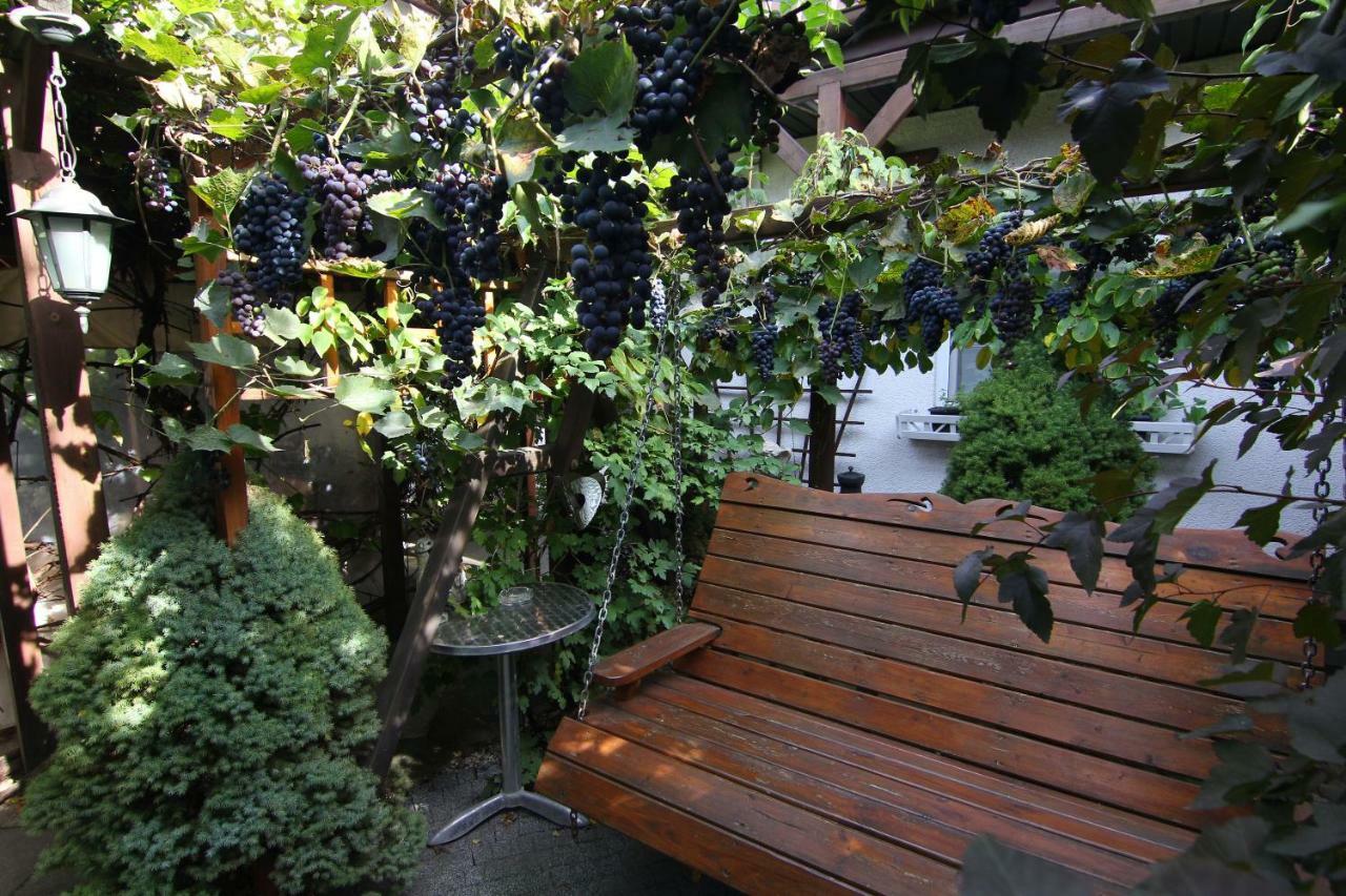 Apartamenty Pod Wiciokrzewem Supraśl Exterior foto